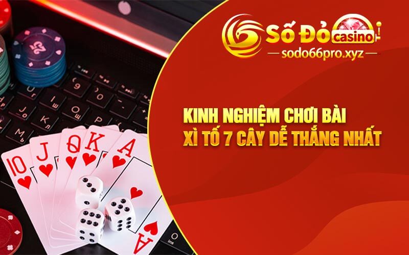 Kinh nghiệm chơi bài xì tố 7 cây dễ thắng nhất